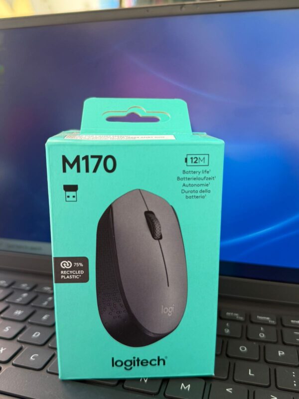 Logitech M170 USB Wireless Mouse